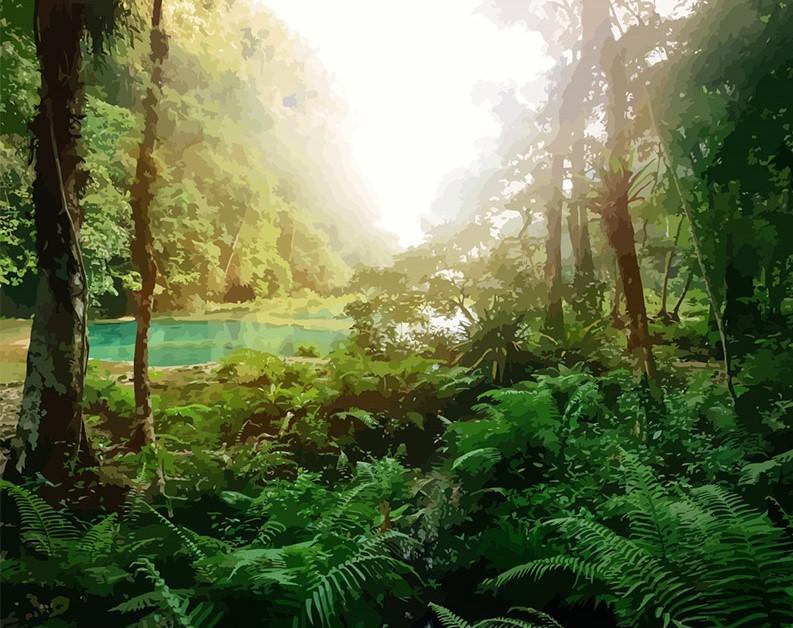 

Rain Forest – Paint By Numbers - 40*50CM, 501 Original