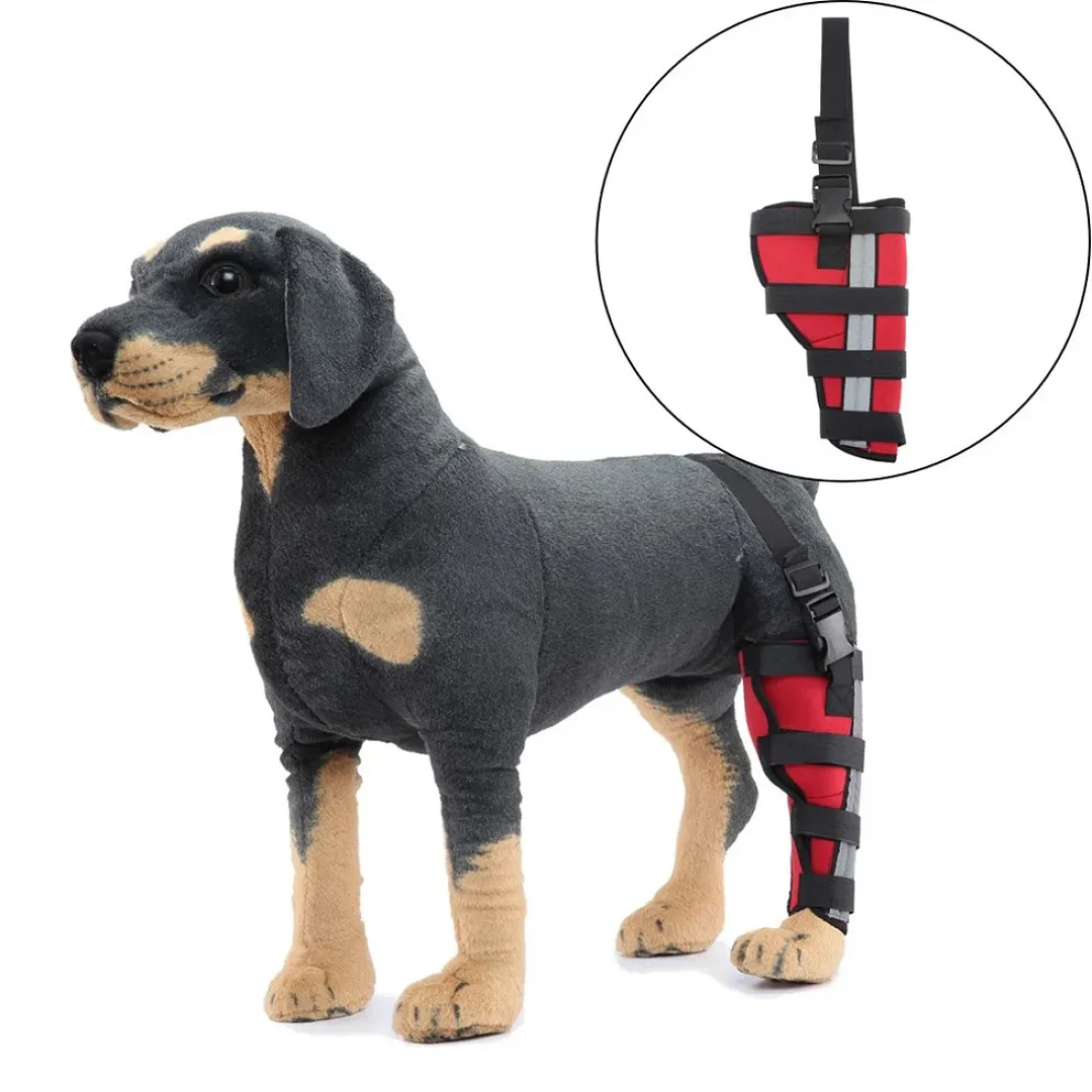 Best Dog Knee Brace for Torn ACL