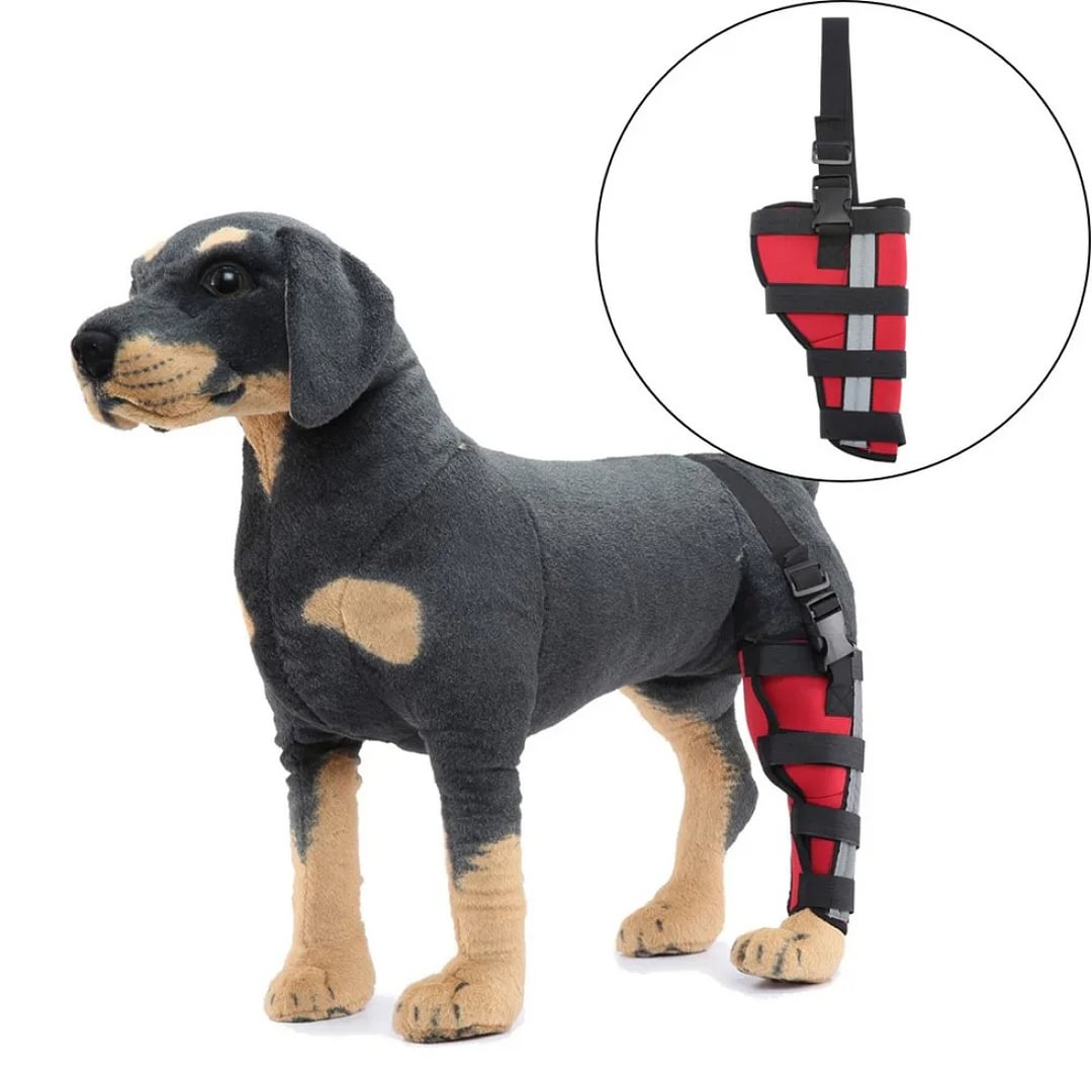Dog Knee Brace with Hinged Metal Splints ACL, MCL, CCL, Patella Injuries