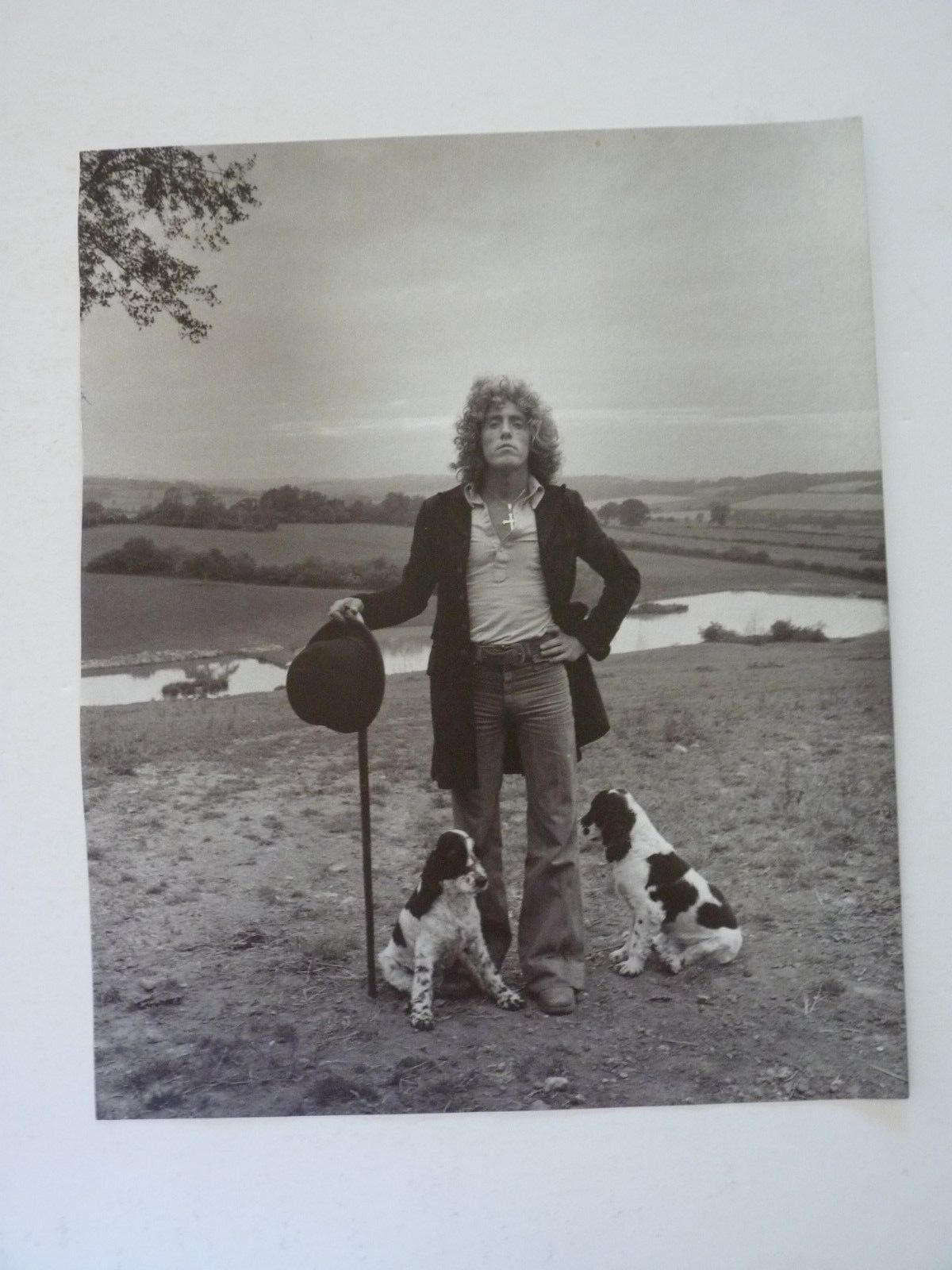 Robert Plant Who Mick Jagger Double Side Coffee Table Book Photo Poster painting Page 9x11