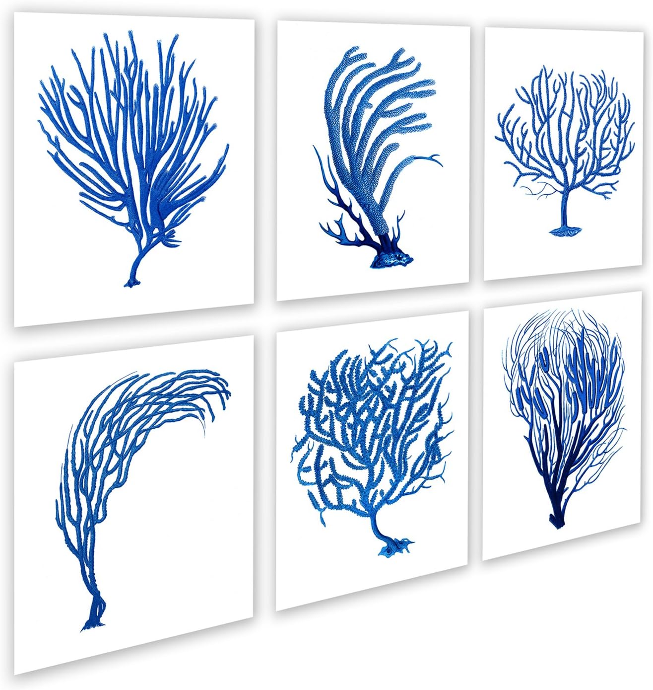 Blue Beach Decor Sea Fan Sea Coral Set of 6 Unframed Art Prints