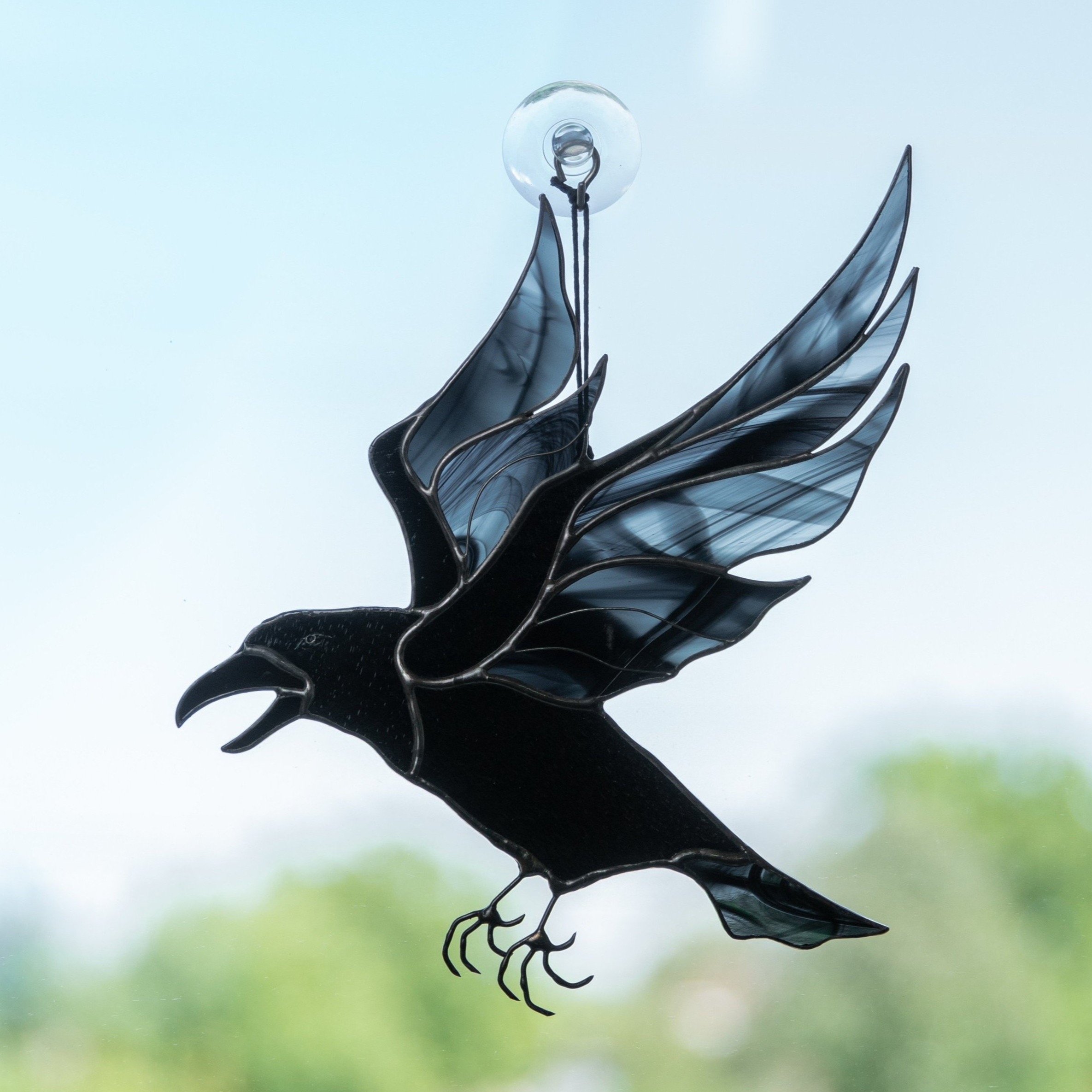 raven wingspan