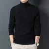 Cotton wool turtleneck sweater
