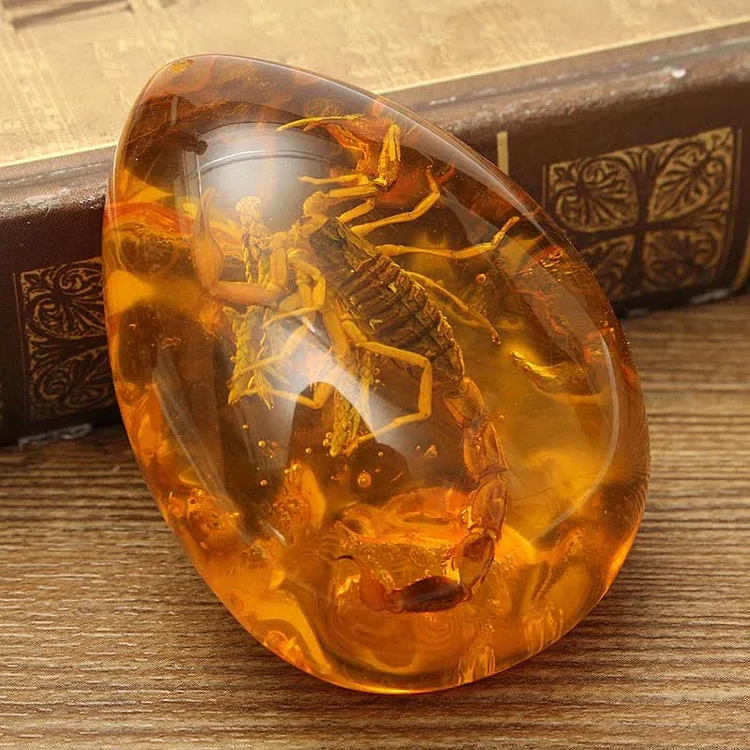 Insect Stone Scorpions Inclusion Amber Baltic Pendant