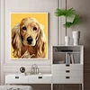 Painting By Numbers - DIY Dog(40*50cm)