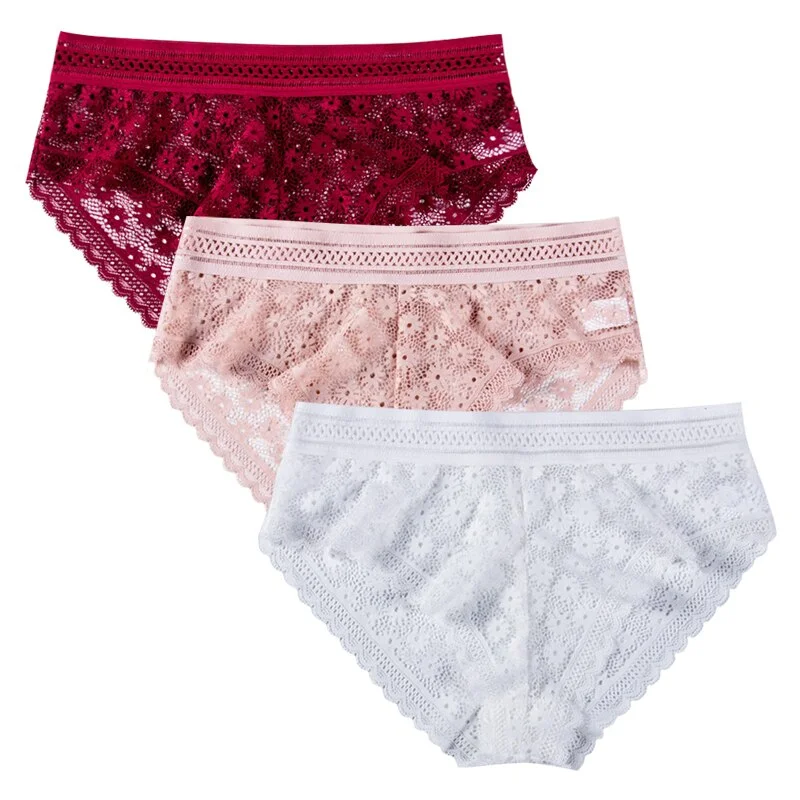3pcs Sexy Lace Panties For Women Underwear Fashion Lingerie Breathable Hollow Out Underpants Female Low-Rise Daisy Briefs