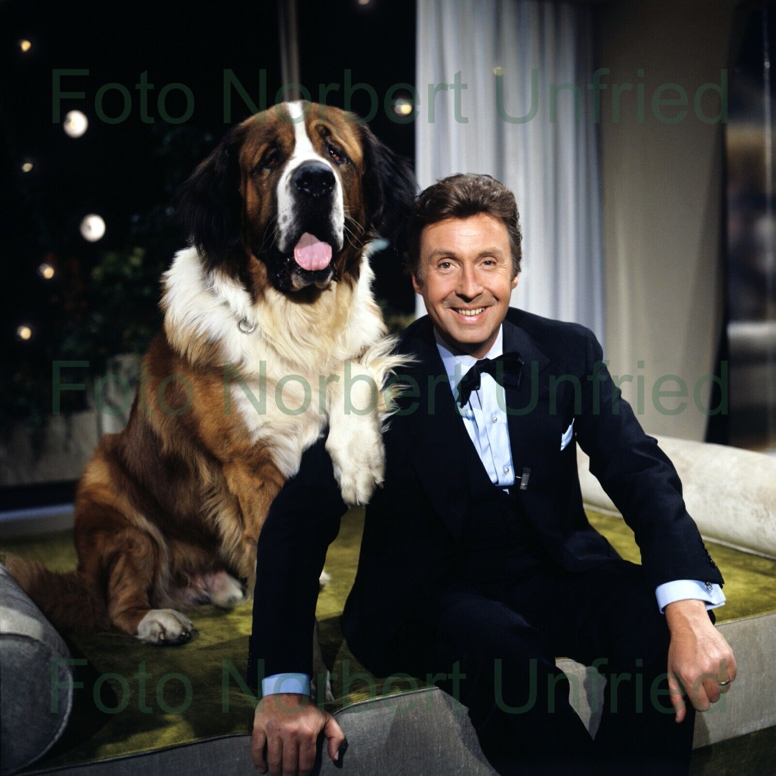 Peter Alexander - Saint Bernard Photo Poster painting 13 X 13 CM (Picture 499