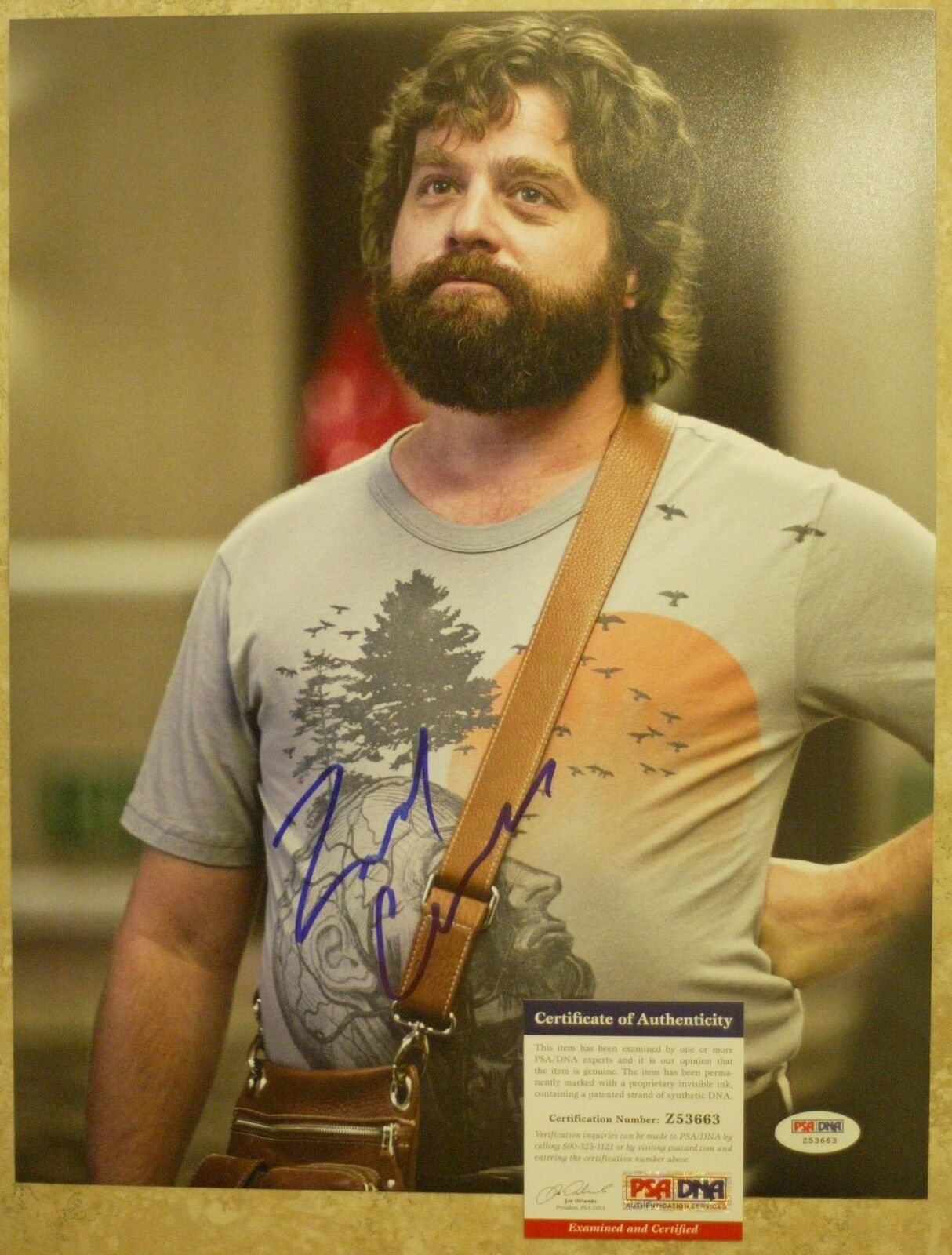 Zach Galifianakis 11x14 Photo Poster painting Signed Autographed Auto PSA DNA The Hangover