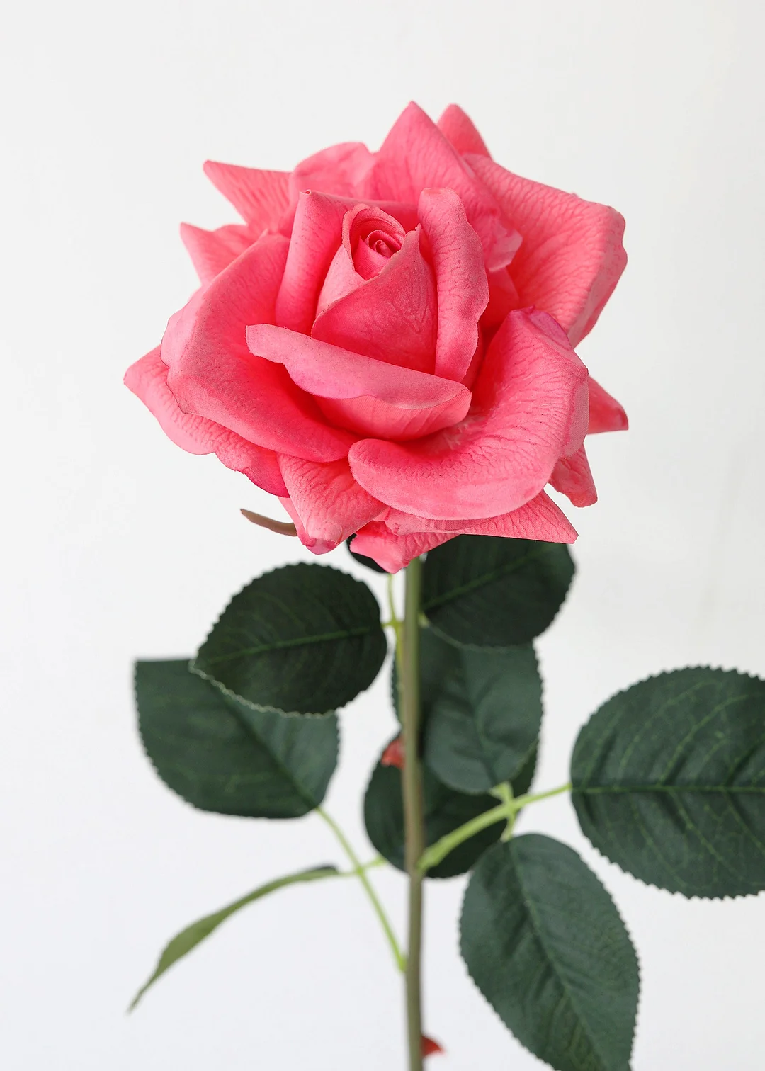 Real Touch Rose in Watermelon Pink - 20.5"