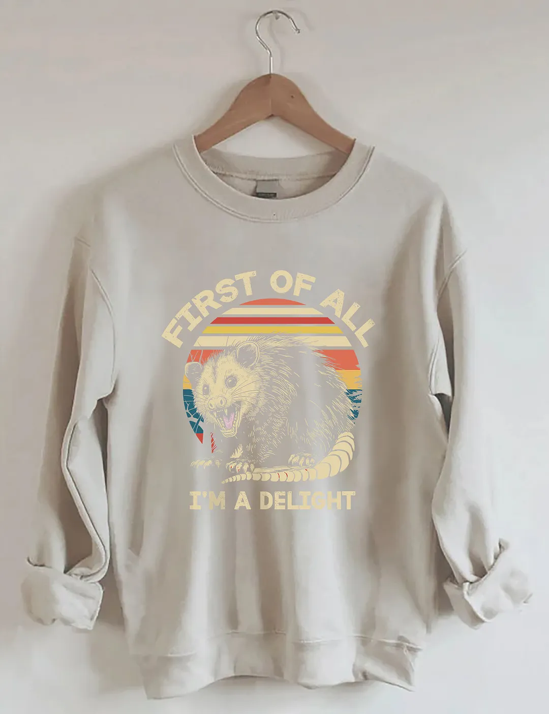 First Of All I'm A Delight Sarcastic Angry Opossum Lover Sweatshirt