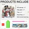 Diamond Painting - Partial Special Shaped Drill - Winter Snowman(Canvas|30*30cm)