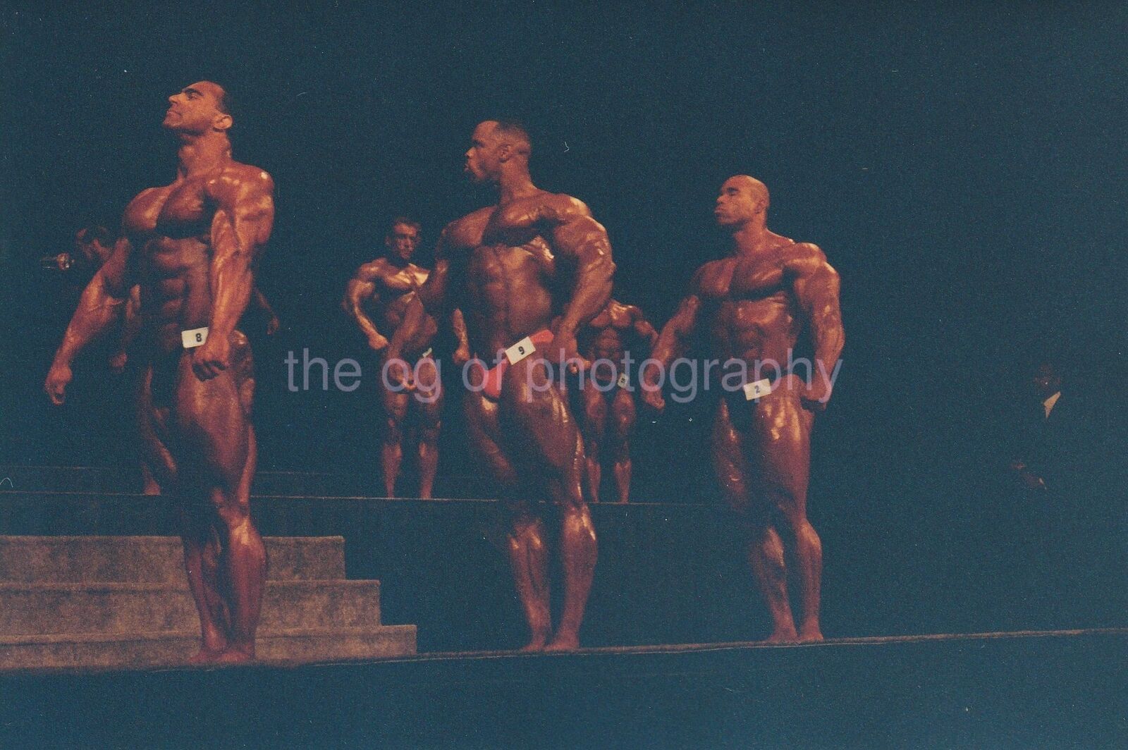 Nasser El Sonbaty, Paul Dillet, Kevin Levrone MUSCLE MEN Found Photo Poster painting 91 7 M