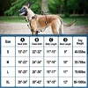 Dog Harness, No-Pull Pet Harness with 2 Leash Clips, Adjustable Soft Padded Dog Vest, Reflective No-Choke Pet Oxford Vest with Easy Control Handle for Large Dogs