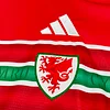Wales 2026  Home World Cup