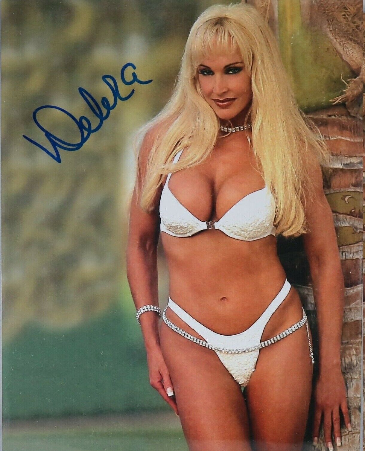 Debra McMichael ( WWF WWE ) Autographed Signed 8x10 Photo Poster painting REPRINT