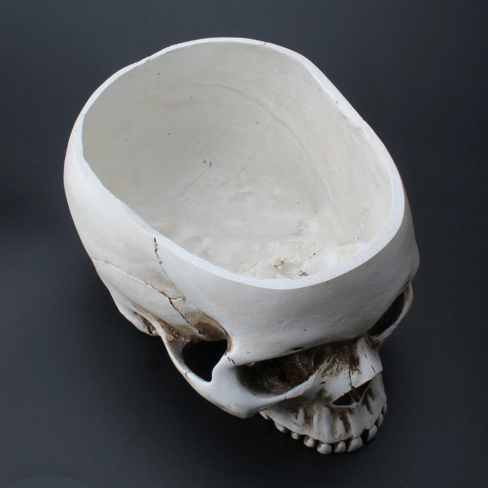Resin Skeleton Flower Pot Sculptures Garden Office Container Human Skull