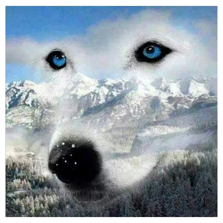 DIY - Animal 11CT Stamped Cross Stitch 50*50CM