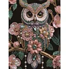 Pearl Floral Owl-Special Shaped Diamond Painting