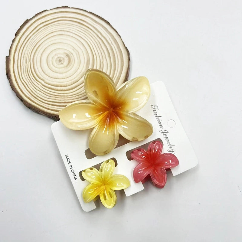 Vacation Modern Style Women’s Flower Resin Hair Claws