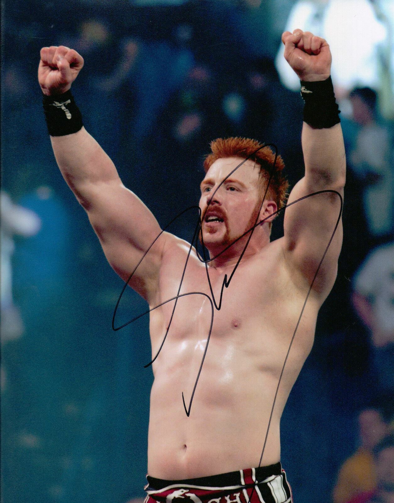 SHEAMUS SIGNED 10X8 Photo Poster painting (WWE) AUTOGRAPH AFTAL COA (7068)