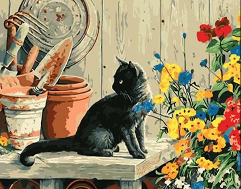 

Black Cat On Table – Paint By Numbers - 40*50CM, 501 Original