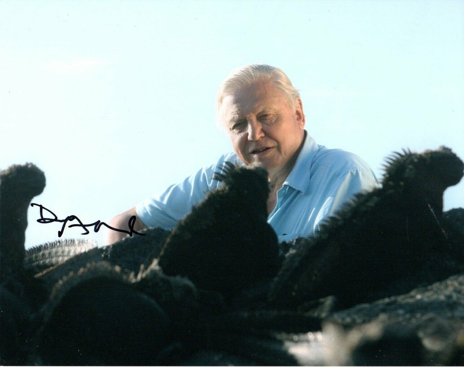 David Attenborough HAND Signed 10x8' Photo Poster paintinggraph Naturalist Broadcaster Autograph