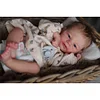 Babiesprincess Lifelike Reborn Baby Doll, Babiesprincess