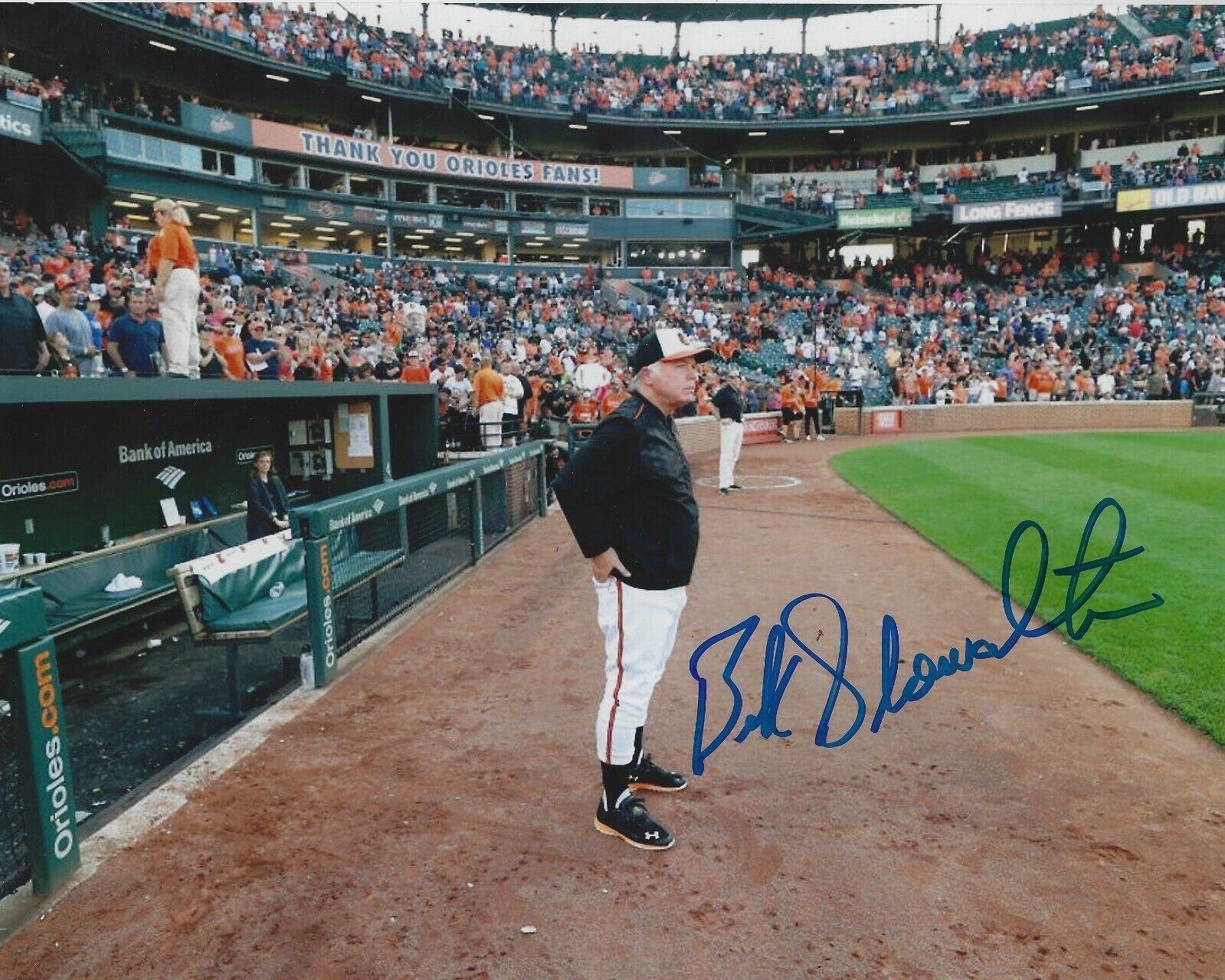 Autographed BUCK SHOWALTER Baltimore Orioles 8x10 Photo Poster painting - COA