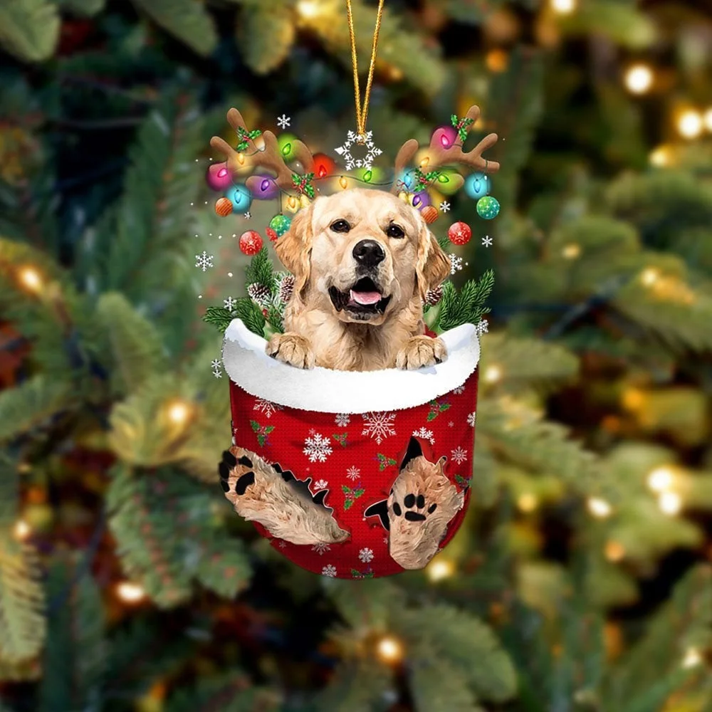 Golden Retriever 2 In Snow Pocket Ornament