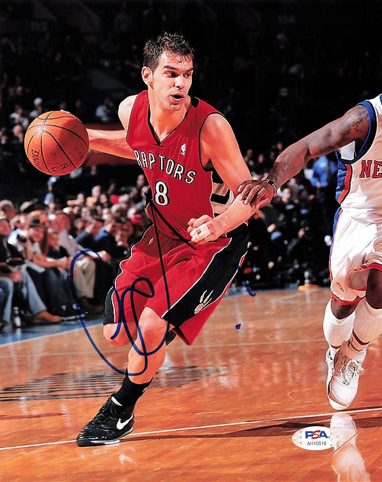 Jose Calderon signed 8x10 Photo Poster painting PSA/DNA Toronto Raptors Autographed