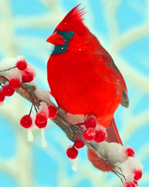 

Red Cardinal – Paint By Numbers - 40*50CM, 501 Original