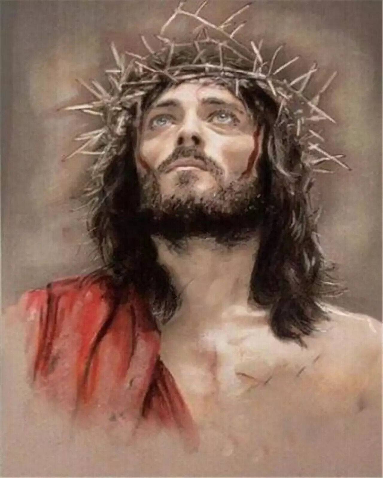 JESUS CHRIST CROWN OF THORNS 8.5X11 Photo Poster painting PICTURE GOD THE FATHER SON HOLY SPIRIT