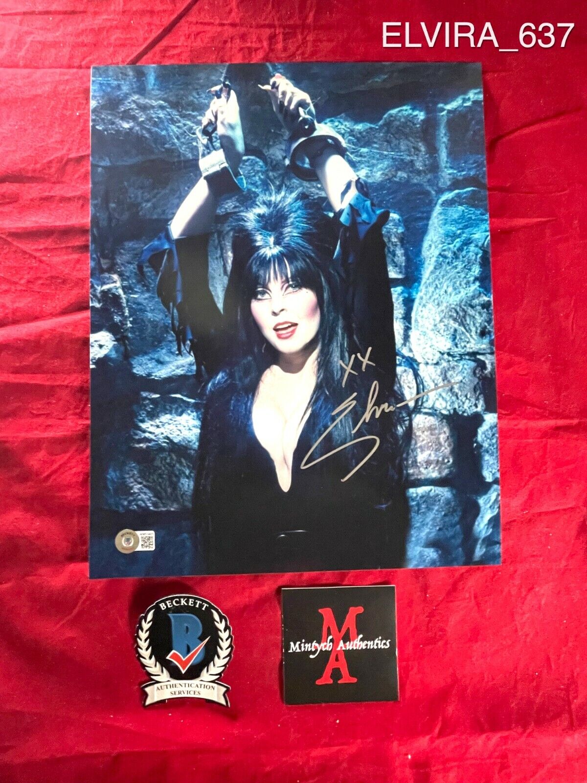 ELVIRA CASSANDRA PETERSON AUTOGRAPHED SIGNED 11x14 Photo Poster painting! BECKETT COA! HORROR!