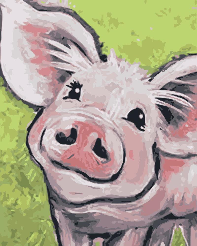 

Pig Smiling – Paint By Numbers - 40*50CM, 501 Original