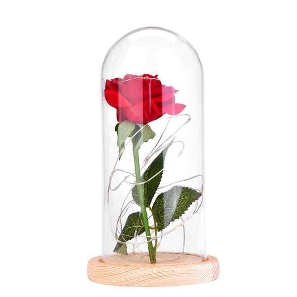 Beauty And The Beast Rose Glass Dome Light