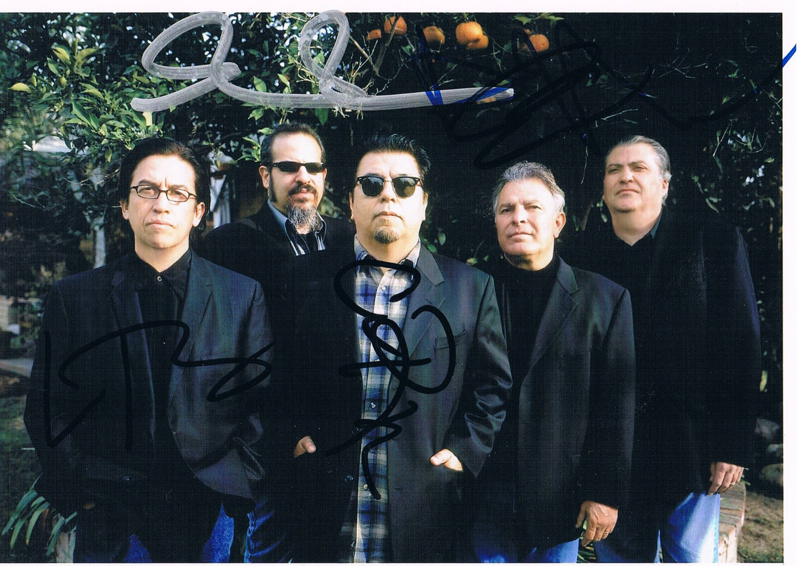 Los Lobos genuine autograph In Person signed 5x7