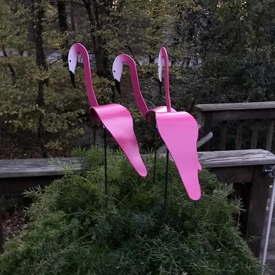 Seti ya Familia ya Flamingo ya Pink kali ya 3. Zinazunguka-zunguka na kuzungusha picha 6