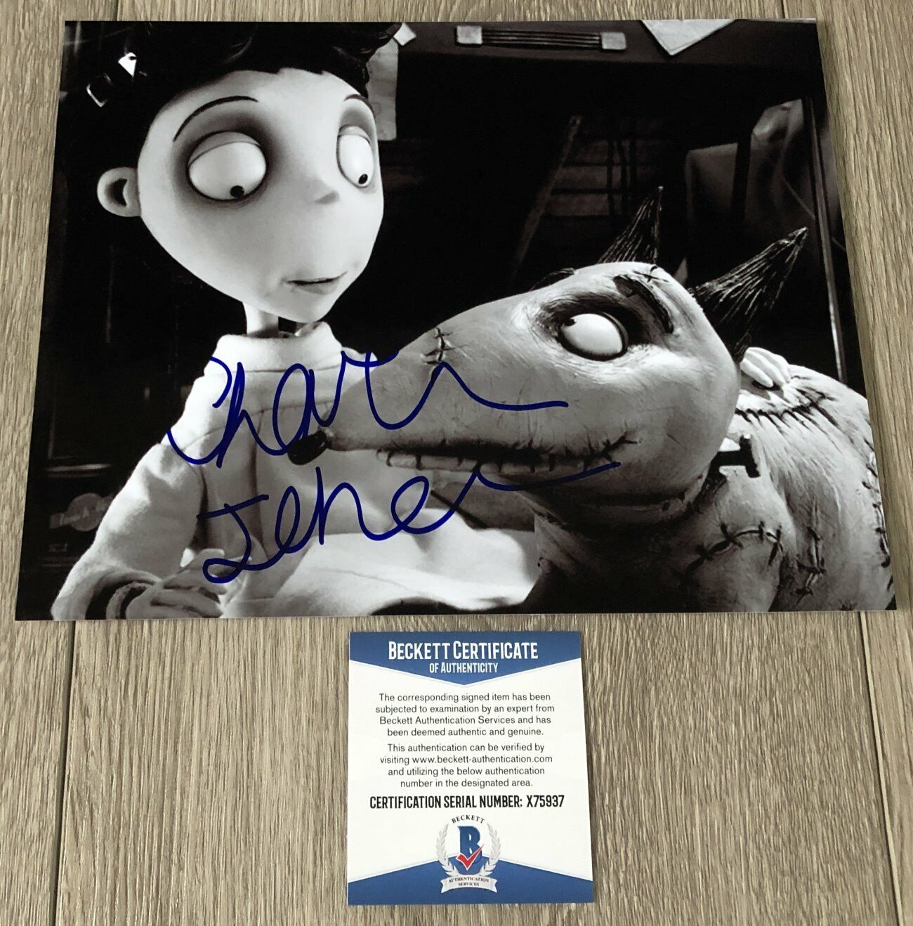 CHARLIE TAHAN SIGNED AUTOGRAPH FRANKENWEENIE 8x10 Photo Poster painting B w/PROOF & BECKETT COA