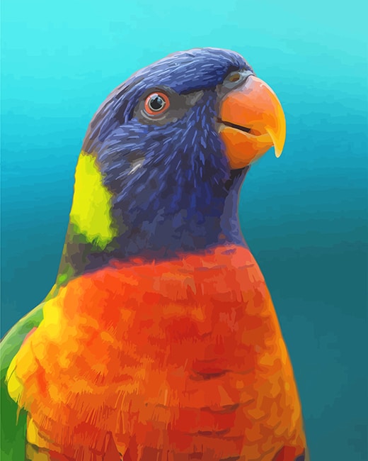 

Colorful Parrot- Paint By Numbers - 40*50CM, 501 Original