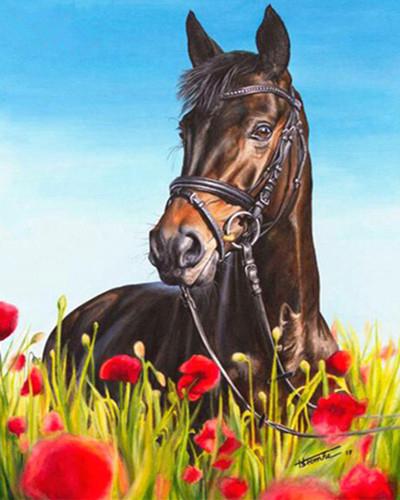 

Horse On Red Flowers – Paint By Numbers - 40*50CM, 501 Original