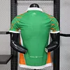 2026 Player Version C&ocirc;te d'Ivoire Special Edition Green Football Shirt 1:1 Thai Quality