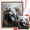 Horse - 11CT Counted Cross Stitch - 36*46cm - Animal