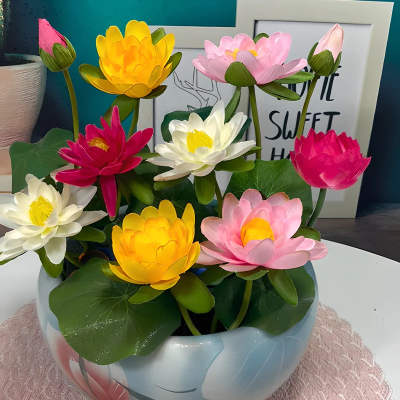 🔥【7 days germination】💐The Sacred Bonsai Bowl Lotus Flower