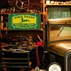 Deer - Car License - 30*15cm