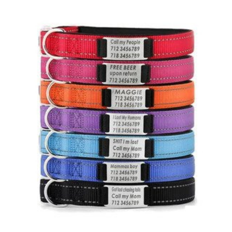 Personalized Dog Collar