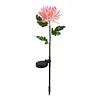 2 Pack Solar Chrysanthemum Garden Light
