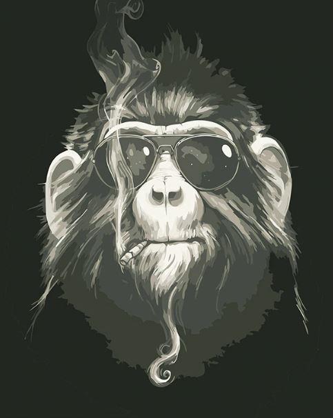 

Smoking Chimpanzee – Paint By Numbers - 40*50CM, 501 Original