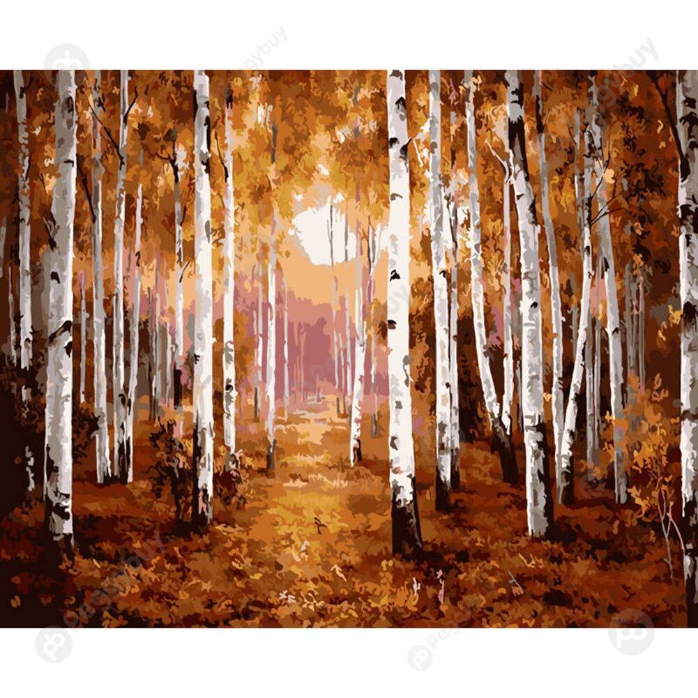 

50*40CM Paint By Numbers-Sunrise, 501 Original