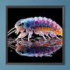 (Box Packaging)Diamond Painting -DIY Round Drill Mantis Shrimp