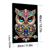 (Pre-Framed)Owl-Special Shape Diamond Painting Kit(30x40cm)